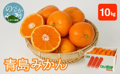 青島みかん 10kg N0132-YB351