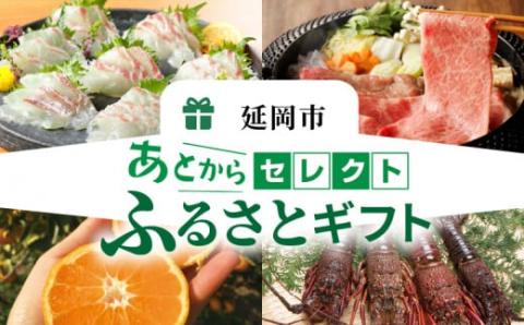 あとからセレクト5万円 N0159-YD0152