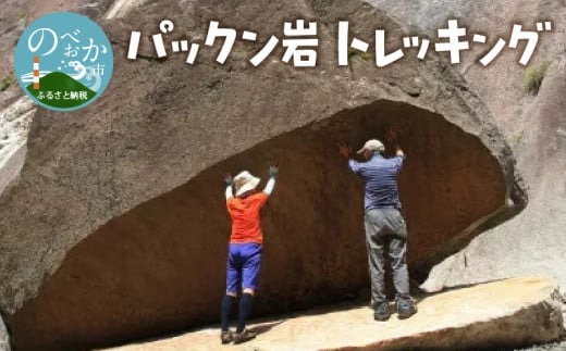 パックン岩トレッキング N002-YZC410