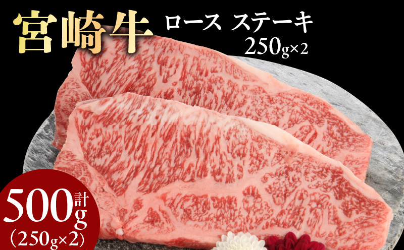 宮崎牛ロースステーキ 250g×2 計500g N0147-YB827