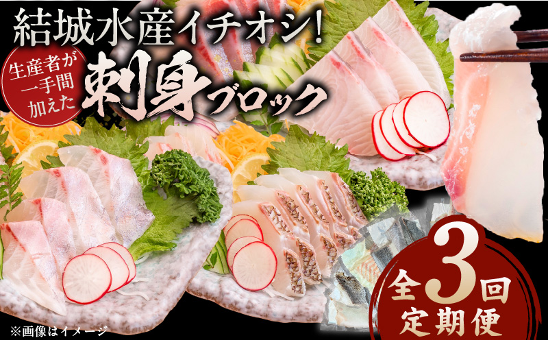 【3ヶ月定期便】(冷凍)結城水産イチオシ！生産者が一手間加えた刺身ブロック N015-YD0240