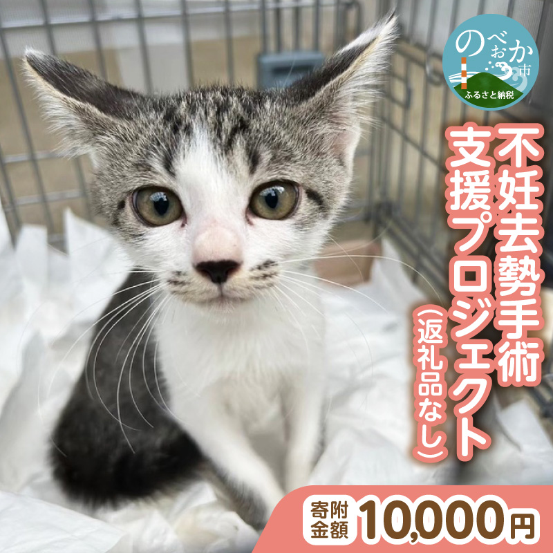 人と猫が互いに幸せになれるまちを目指して『不妊去勢手術支援プロジェクト』（返礼品はありません） N0159-9999992