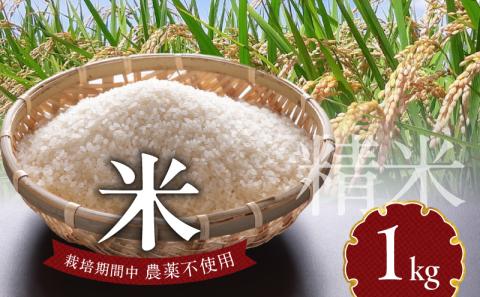 米 1kg N0182-YA0507