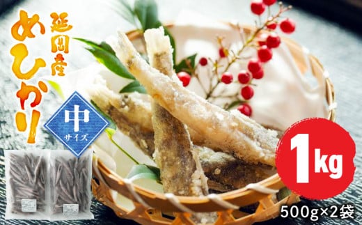 延岡産めひかり無頭中サイズ500g×2袋 N0184-YA2267