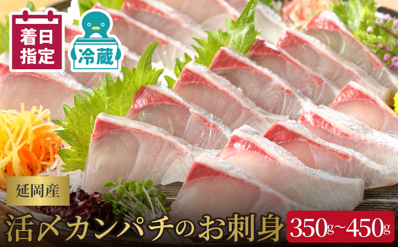 【冷蔵】延岡産活〆カンパチのお刺身 N019-YA2258