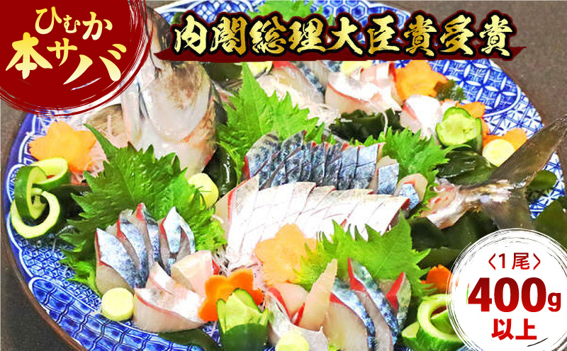 【内閣総理大臣賞受賞！】ひむか本サバ１尾(セミドレス)400ｇ以上 N025-YA0386