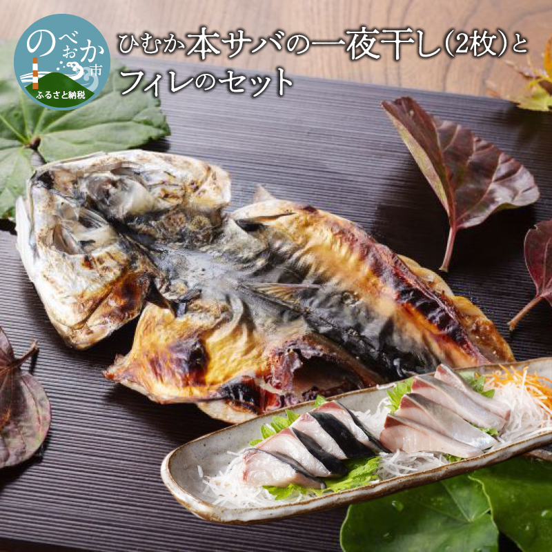 ひむか本サバの一夜干し(2枚)とフィレのセット N025-YB245