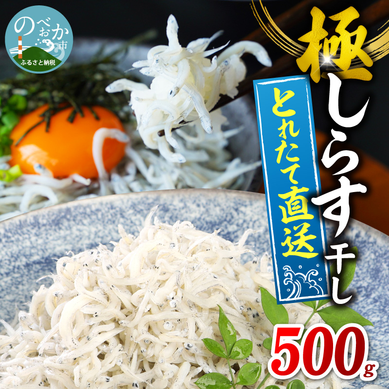 【とれたて直送】極しらす干し 500g N065-YA0509