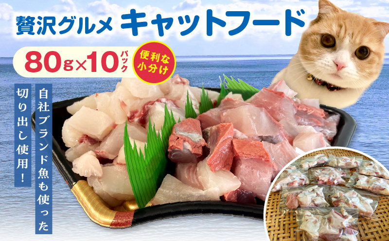 【至福の海の恵み】贅沢グルメキャットフード　N072-YA0398