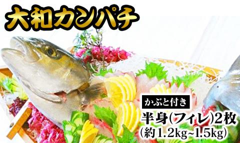 大和ｶﾝﾊﾟﾁ半身(ﾌｨﾚ)約1.2kg～1.5kg×2枚かぶと付き N072-YD0192