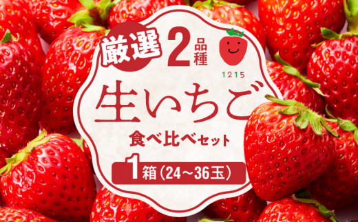 生いちご 厳選 2品種 食べ比べセット いちにのいちご園（2026年1月から発送開始）1箱　N085-YA776