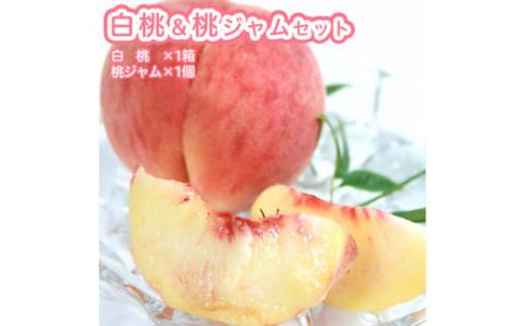 桃Aセット 白桃2L〜3L 1箱 ジャム フルーツ 果物