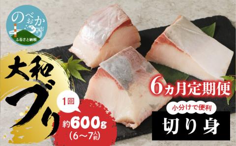 【大和海商】大和ブリの切り身6ヵ月定期便 N072-YE091