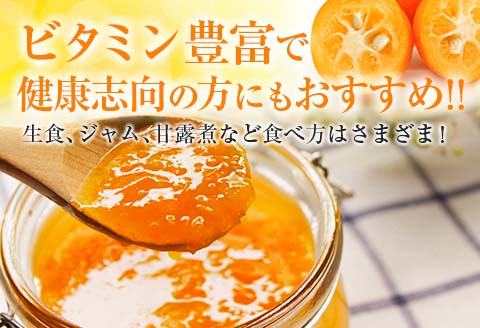 食べ応え抜群 大玉 きんかん 計2kg以上 傷み補償分入り 数量限定 期間限定 フルーツ 果物 くだもの 柑橘 金柑 先行予約 国産 希少 人気 おすすめ ジャム おやつ デザート 小分け おすそ分け 贈り物 ギフト 贈答 ご褒美 産地直送 宮崎県 日南市 送料無料_BB161-25
