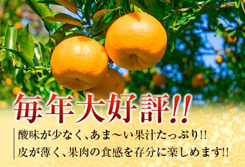 年内発送 訳あり 宮浦 ポンカン 計5kg以上 先行予約 期間限定 数量限定 フルーツ 果物 くだもの 柑橘 みかん 蜜柑 わけあり 国産 食品 おやつ デザート みかんジュース おすすめ ご家庭用 不揃い おすそ分け 産地直送 宮崎県 日南市 送料無料_AV5-25 計5kg以上 