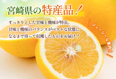 先行予約 酸味と甘味は恋の味 恋する 日向夏 計3kg以上 令和8年発送 期間限定 数量限定 果物 くだもの フルーツ 国産 食品 柑橘 みかん 蜜柑 オリジナル ブランド デザート おやつ ひゅうがなつ おすすめ おすそ分け 手土産 ギフト 宮崎県 日南市 送料無料_AV1-25