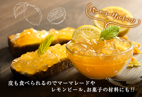 訳あり 数量限定 マイヤーレモン 計5kg以上 フルーツ 果物 柑橘 レモン 檸檬 オレンジ 人気 おすすめ おすそ分け お土産 プレゼント お取り寄せ グルメ 国産 食品 デザート スイーツ ブランド 希少 特産品 産地直送 宮崎県 日南市 送料無料_A89-23 計5kg以上(20～45玉)