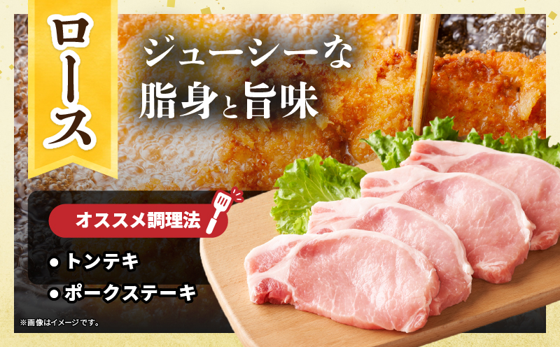 宮崎県産 豚肉ロースカツ用＆ヒレカツ用セット 合計650g 国産 食品 2種 食べ比べ とんかつ トンテキ ポークステーキ 角煮 ソテー 豚丼 小分け おすすめ おかず お弁当 晩ご飯 手軽 便利 万能食材 ギフト 贈り物 冷凍 日南市 送料無料_A96-25 合計650g