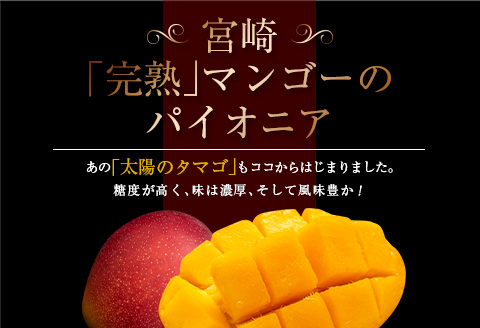 先行予約 数量限定 南国 宮崎 完熟マンゴー 3L × 2玉 A級品 化粧箱入り 期間限定 フルーツ スイーツ 果物 くだもの マンゴー 食品 デザート 国産 産地直送 人気 リピート おすすめ おやつ 高級 ご褒美 贅沢 贈り物 ギフト プレゼント 日南市 送料無料_DB31-24