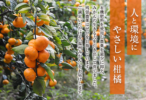 ネイバーフッド 温州みかん 計5kg以上 傷み補償分入り 期間限定 数量限定 フルーツ 果物 くだもの ミカン 柑橘 オレンジ 人気 国産 食品 デザート おやつ おすすめ 産地直送 おすそ分け ギフト 贈り物 特産品 宮崎県 日南市 送料無料_BB157-25