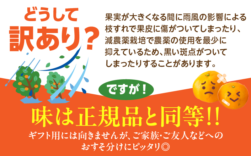 訳あり 数量限定 海藻木酢みかん 計10kg以上 傷み補償分入り フルーツ 果物 くだもの 柑橘 みかん 国産 期間限定 食品 家庭用 自宅用 B品 わけあり オレンジ デザート おやつ おすすめ おすそ分け ご褒美 お取り寄せ グルメ 産地直送 宮崎県 日南市 送料無料_BBV4-25