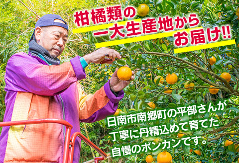 訳あり 平部さんちのポンカン 計7kg以上 先行予約 期間限定 数量限定 フルーツ 果物 くだもの 柑橘 みかん 蜜柑 わけあり 国産 食品 おやつ デザート みかんジュース フルーツサンド おすすめ ご家庭用 おすそ分け 産地直送 宮崎県 日南市 送料無料_BA60-23