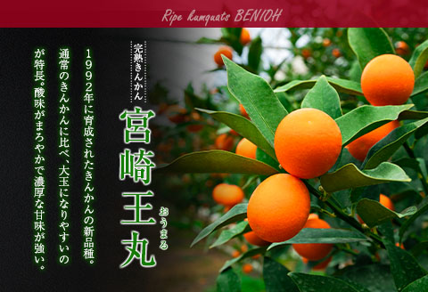先行予約 訳あり 完熟 きんかん 宮崎王丸 計3kg以上 傷み補償分付き 数量限定 期間限定 フルーツ 果物 くだもの 柑橘 金柑 訳アリ おすすめ おすそ分け ご家庭用 ご自宅用 お取り寄せ 国産 食品 デザート おやつ 甘露煮 産地直送 宮崎県 日南市 送料無料_B245-25