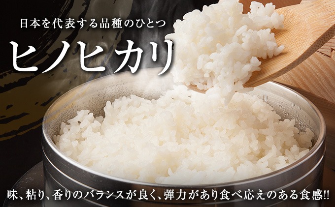 令和7年産 新米 ヒノヒカリ 計3kg お米 ご飯 ライス 国産 数量限定 人気 食品 精米 白米 ひのひかり 有洗米 おにぎり お弁当 炊き込みご飯 雑炊 ギフト プレゼント 贈り物 お取り寄せ 産地直送 宮崎県 日南市 送料無料_AA72-25