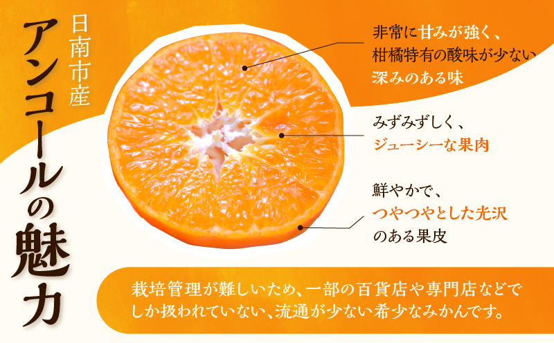 先行予約 訳あり アンコール 計3.8kg以上 傷み補償分付き 令和8年発送 期間限定 数量限定 フルーツ 果物 くだもの みかん オレンジ ジュース 柑橘 国産 食品 不揃い 傷 規格外 訳アリ 家庭用 おすそ分け おすすめ デザート おやつ 宮崎県 日南市 送料無料_AAV3-25