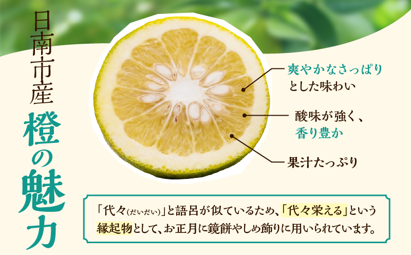先行予約 訳あり 橙 だいだい 計3.8kg以上 傷み補償分入り 期間限定 数量限定 フルーツ 果物 くだもの みかん 柑橘 国産 食品 訳アリ 家庭用 おすそ分け おすすめ ポン酢 マーマレード ジャム 調味料 正月飾り 不揃い 傷 規格外 宮崎県 日南市 送料無料_AAV7-25
