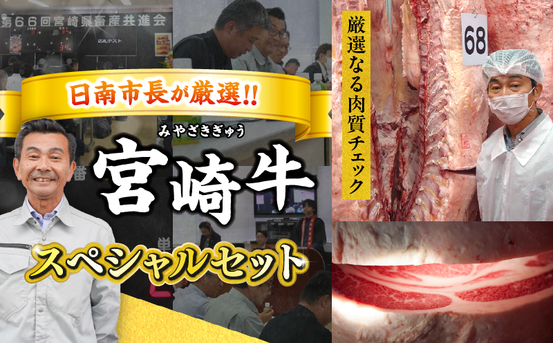 ≪年末年始限定≫日南市長厳選!! 宮崎牛 堪能 セット 合計25kg 期間限定 数量限定 肉 牛肉 ステーキ 焼肉 スライス すき焼き しゃぶしゃぶ ヒレ ロース バラ ウデ モモ 希少部位 大容量 黒毛和牛 国産 赤身肉 霜降り 食べ比べ 牛丼 おすすめ 宮崎県 送料無料_AW3-25 合計25kg　寄附額1,000,000円