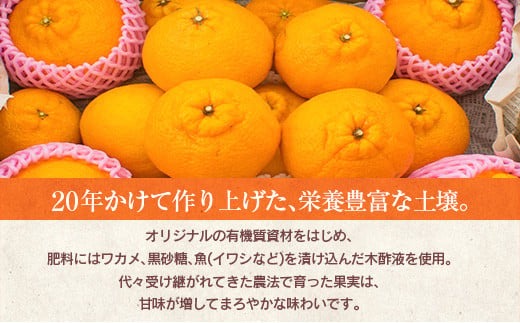 先行予約 訳あり 海藻木酢 不知火 計7kg以上 傷み補償分付き 期間限定 数量限定 フルーツ 果物 くだもの 柑橘 みかん 訳アリ 国産 食品 デザート おやつ おすそ分け おすすめ ご家庭用 ご自宅用 B品 傷 マーマレード 産地直送 宮崎県 日南市 送料無料_BBV2-24