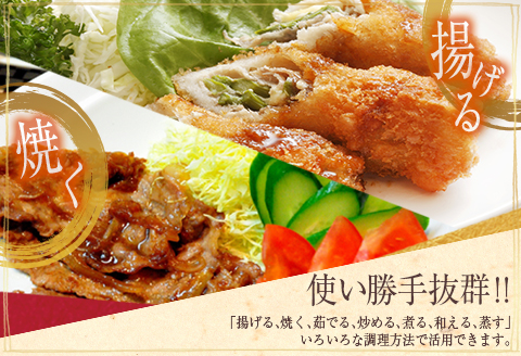 豚肉 5種 鶏肉 肩肉 みんなでわいわい お楽しみ セット 合計2.1kg ポーク チキン 国産 食品 おかず お弁当 おつまみ 加工品 豚バラ スライス 切落し みそ漬け トンテキ 生姜焼き 万能食材 簡単調理 詰め合わせ 焼肉 お取り寄せ 宮崎県 日南市 送料無料_BD107-25