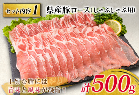 豚肉 3種 バラエティ セット 合計2kg 国産 宮崎県産 ポーク 豚ロース 切り落とし スライス おかず お弁当 おつまみ 食品 グルメ しゃぶしゃぶ とんかつ用 万能食材 焼肉 詰め合わせ 小分け 人気 おすすめ お取り寄せ おすそ分け 日南市 ミヤチク 送料無料_BB120-23