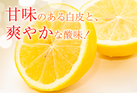 先行予約 宮浦産 日向夏 計5kg以上 化粧箱入り 期間限定 数量限定 フルーツ 果物 くだもの 柑橘 みかん 令和8年発送 国産 産地直送 新鮮 食品 ジュース デザート おやつ ギフト 贈り物 贈答 お返し お礼 手土産 ご褒美 おすそ分け 宮崎県 日南市 送料無料_BB165-25