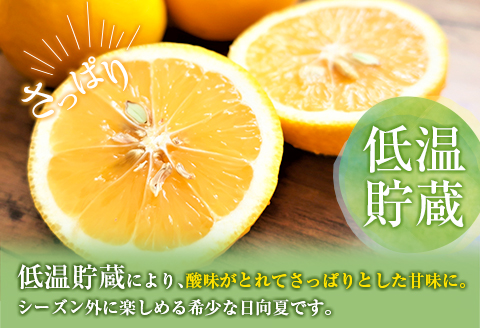 先行予約 宮浦産 蔵出し 日向夏 計2.5kg以上 化粧箱入り 期間限定 数量限定 フルーツ 果物 くだもの 柑橘 みかん 令和8年発送 国産 産地直送 新鮮 食品 ジュース デザート おやつ ギフト 贈り物 贈答 お返し お礼 手土産 おすそ分け 宮崎県 日南市 送料無料_BC130-25