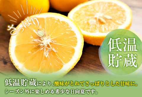 先行予約 訳あり 宮浦産 蔵出し 日向夏 計3kg以上 期間限定 数量限定 フルーツ 果物 くだもの 柑橘 みかん 令和8年発送 国産 産地直送 新鮮 食品 ジュース デザート フルーツサンド おやつ ご褒美 おすそ分け ご家庭用 ご自宅用 宮崎県 日南市 送料無料_BC131-25