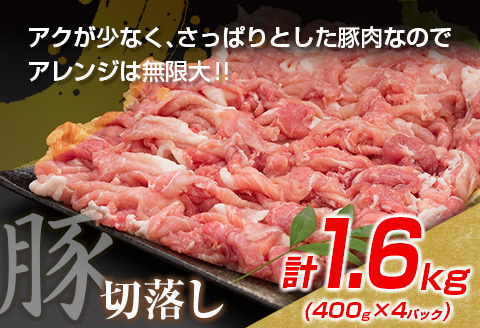 数量限定 豚肉 切り落とし 鶏肉 モモ ムネ セット 合計3.1kg 国産 食品 ポーク チキン おかず 人気 大容量 万能食材 焼肉 から揚げ 炒め物 お弁当 おつまみ 詰め合わせ 食べ比べ 小分け 便利 おすすめ グルメ お取り寄せ おすそ分け 宮崎県 日南市 送料無料_C146-25