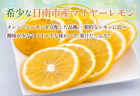 先行予約 マイヤーレモン 計3kg以上 希少 国産レモン 果物 くだもの フルーツ 檸檬 柑橘 期間限定 数量限定 おすすめ ジュース 飲み物 サラダ 調味料 焼肉 バーベキュー BBQ デザート おすそ分け 産地直送 食品 贈り物 お土産 宮崎県 日南市 送料無料_AV3-25