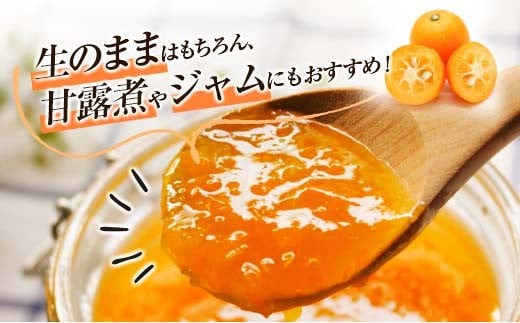 ひなたきんかん 計3kg以上 傷み補償分入り 数量限定 期間限定 フルーツ 果物 柑橘 金柑 みかん 人気 おすすめ おすそ分け お土産 プレゼント お取り寄せ グルメ 国産 食品 デザート スイーツ おやつ ブランド 特産品 産地直送 宮崎県 日南市 送料無料_BB160-25