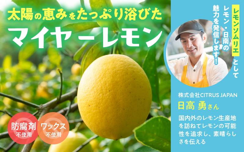 日南レモン シロップ レモン 果汁 オリジナル 2本 セット 合計600ml 果物 フルーツ くだもの れもん 檸檬 柑橘 ジュース 飲料 ドリンク 国産 食品 オリジナル ブレンド 無添加 保存料不使用 お土産 ギフト プレゼント 贈り物 贈答品 宮崎県 日南市 送料無料_C151-25