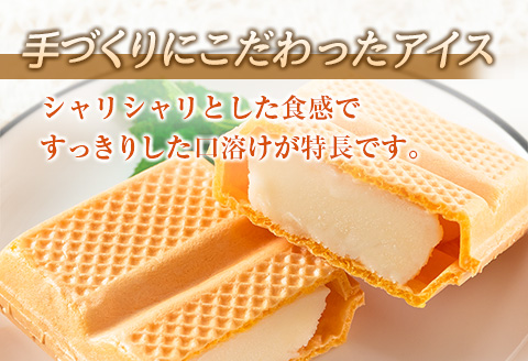 手作り アイス モナカ セット 計16個 食品 加工品 スイーツ お菓子 最中 なかつや 昔ながら ハンドメイド 子供 乳製品 こだわり 氷菓 懐かしい 国産 おやつ デザート ギフト プレゼント 贈り物 お取り寄せ グルメ おすそ分け 宮崎県 日南市 送料無料 日南スピード配送_BA67-23