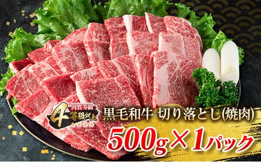 黒毛和牛 切り落とし 焼肉 粗挽きウインナー お試し セット 合計590g 肉 牛肉 ビーフ 総菜 加工品 豚肉 ソーセージ 国産 和牛 牛丼 炒め物 おすすめ A4 A5 おかず お弁当 おつまみ BBQ バーベキュー キャンプ アウトドア 食品 宮崎 ミヤチク 日南市 送料無料_BB166-25