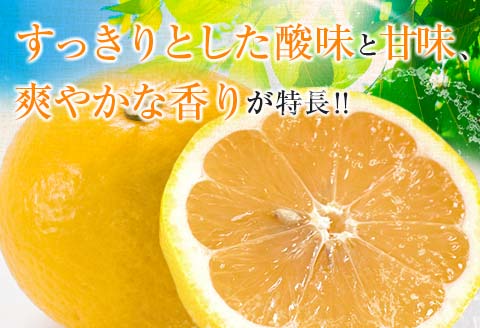 毎年大好評!!宮崎を代表するフルーツ 日向夏 計2.5kg以上 化粧箱入り 期間限定 数量限定 先行予約 2026 令和8年発送 果物 くだもの 柑橘 みかん みかんジュース デザート 国産 食品 おすすめ ギフト 贈り物 贈答 おすそ分け お祝い 宮崎県 日南市 送料無料_B214-23