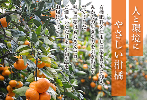 先行予約 訳あり 不知火 計4kg以上 傷み補償分付き 期間限定 数量限定 フルーツ 果物 くだもの 柑橘 みかん しらぬい 令和8年発送 おやつ デザート ジュース 国産 食品 おすすめ ご褒美 産地直送 おすそわけ 家庭用 ネイバーフッド 宮崎県 日南市 送料無料_A97-25