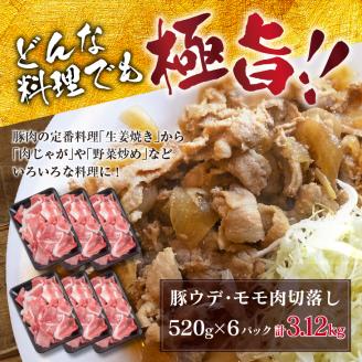 豚肉 豚ウデ 豚モモ 切り落とし セット 計3.12kg 国産 ポーク 食品 おかず 切落し スライス肉 万能食材 大容量 焼肉 生姜焼き カレー 肉じゃが 炒め物 お弁当 おつまみ 晩ご飯 うで もも 人気 冷凍 お土産 おすそ分け お取り寄せ 宮崎県 日南市 送料無料_C144-25