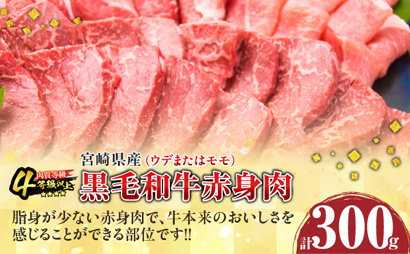 数量限定 黒毛和牛 赤身肉 豚焼肉 食べ比べ セット 合計800g 肉 牛肉 豚肉 国産 ウデ モモ 豚ロース 肩ロース おすすめ おかず お弁当 食品 BBQ バーベキュー キャンプ 晩ご飯 お祝い 記念日 豚丼 ギフト 贈り物 ミヤチク 宮崎県 日南市 送料無料_C153-25
