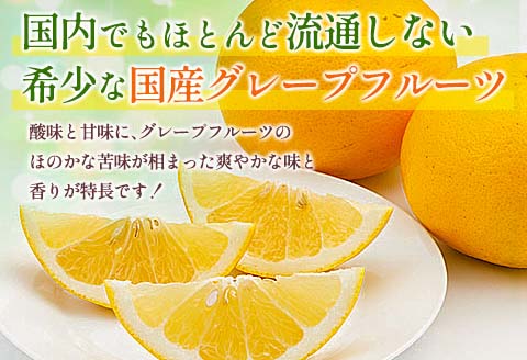 ★テレビで紹介された★ 数量限定 グレープフルーツ 月夜実 白 つくよみ 計4kg以上 期間限定 希少 完熟 果物 くだもの 柑橘 オリジナル ブランド 国産 食品 人気 おすすめ デザート スイーツ おやつ おすそ分け お取り寄せ グルメ 産地直送 宮崎県 日南市 送料無料_BC102-24