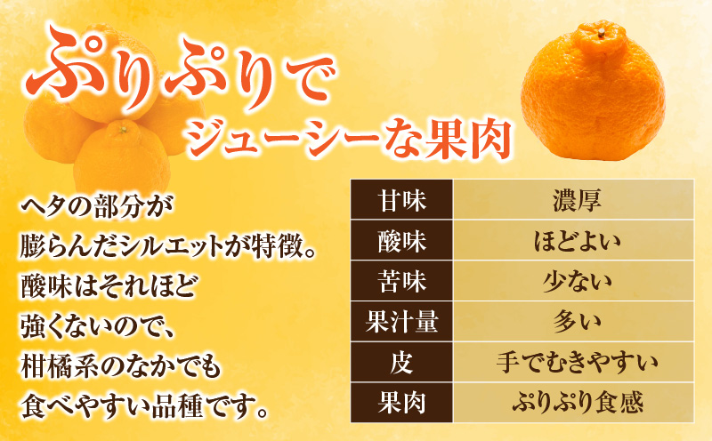 先行予約 不知火 計3kg以上 黒箱 化粧箱入り 期間限定 数量限定 果物 フルーツ くだもの 柑橘 みかん 令和8年発送 みかんジュース デザート おやつ 人気 おすすめ 国産 食品 ギフト 贈り物 贈答 ご褒美 お祝い 記念日 宮崎県 日南市 送料無料_BB140-24 計3kg以上