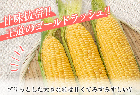 先行予約 スイートコーン ゴールドラッシュ 計4.5kg 数量限定 期間限定 野菜 とうもろこし トウモロコシ とうきび コーン 令和8年発送 国産 朝どれ 産地直送 新鮮 バーベキュー BBQ 焼肉 食品 デザート おやつ おすそ分け おすすめ 宮崎県 日南市 送料無料_C161-25